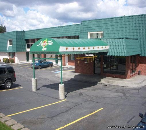 Apple Tree Inn Спокейн Екстериор снимка